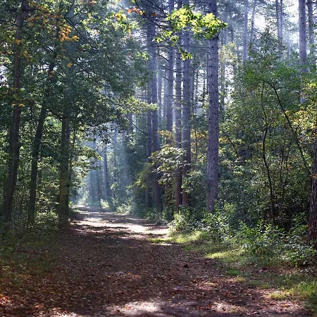 Vila Beautiful Villa, Den Burg Texel